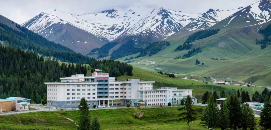 Медицина в путешествии: полный справочник по Алтаю - фото